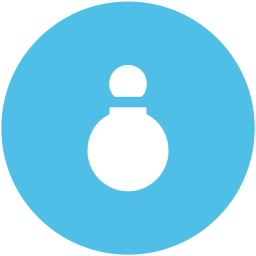 Bauble  Icon