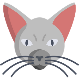 Cat  Icon