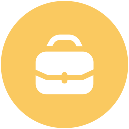 Bag  Icon