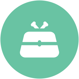 Bag  Icon