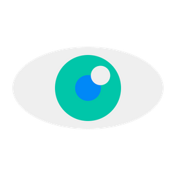 Eye  Icon