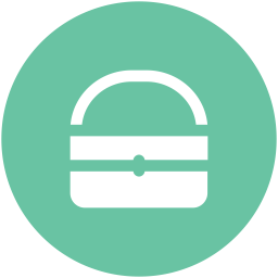 Bag  Icon