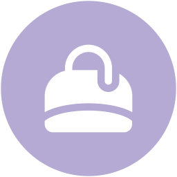 Bag  Icon