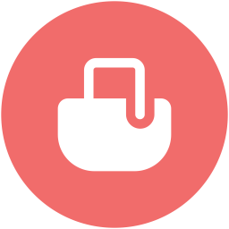 Bag  Icon