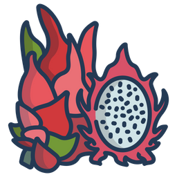 Dragon fruit  Icon