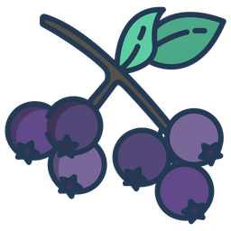 Berries  Icon