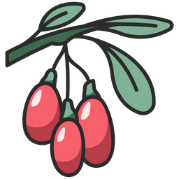 Berry  Icon