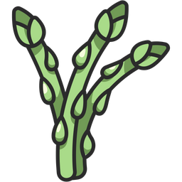 Asparagus  Icon