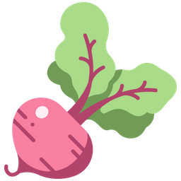 Beet  Icon