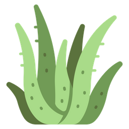 Aloevera  Icon