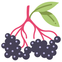 Berry  Icon