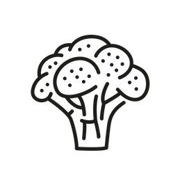 Broccoli  Icon