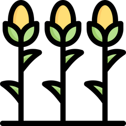 Corn Field  Icon