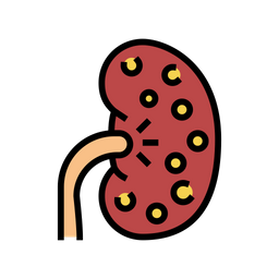 Nefritis renal  Icono