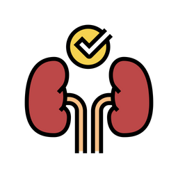 Healthy Kidney  Icon