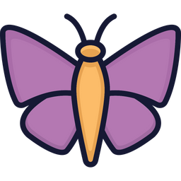 Butterfly  Icon