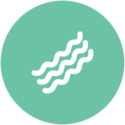 Bacon  Icon