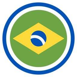 Brazil  Icon