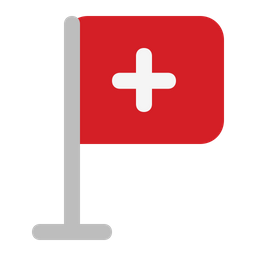 Hospital Flag  Icon