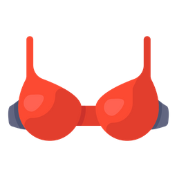 Bra  Icon