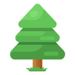 Conifer Tree  Icon