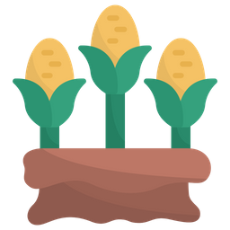 Corn  Icon