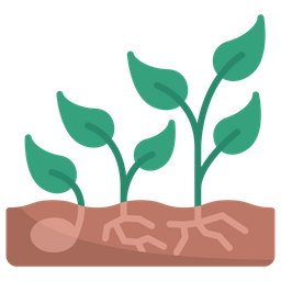 Growth  Icon