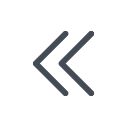 Double left chevron  Icon