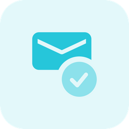 Email Check  Icon