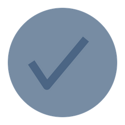 Check List  Icon