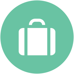 Bag  Icon