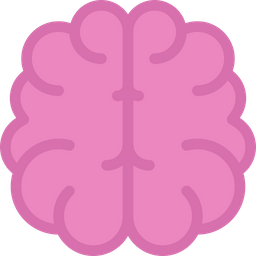 Brain  Icon