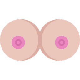 Breast  Icon