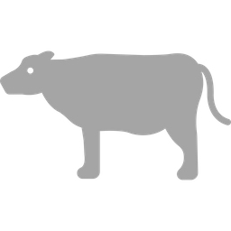 Cow  Icon