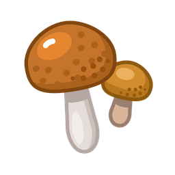 Brown cap boletus  Icon