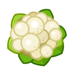 Cauliflower  Icon