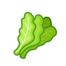 Salad Vegetables Vegetarian Icon