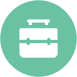 Bag  Icon