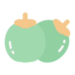 Coconut  Icon