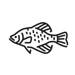 검은 크래피 물고기 민물 생물 아이콘