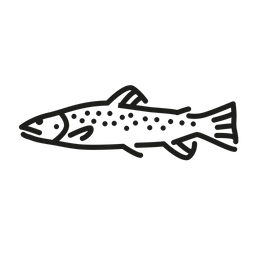 갈색 송어 물고기 민물 생물 아이콘