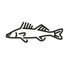 Walleye 물고기 민물 생물 아이콘