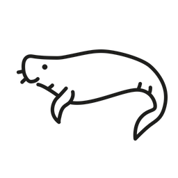 Dugong  Symbol