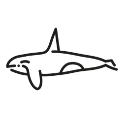 Orca  Icono