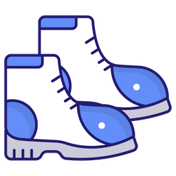 Boot  Icon