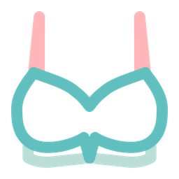 Bra  Icon