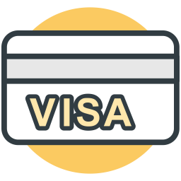 Visa Card Credit Icon