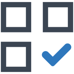 Audit Test  Icon