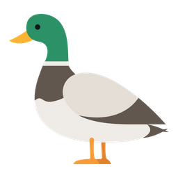 Duck  Icon