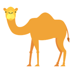 Kamel  Symbol